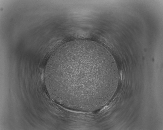 X0000062141251200512161209