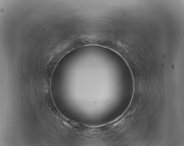 X0000062141253200512161209