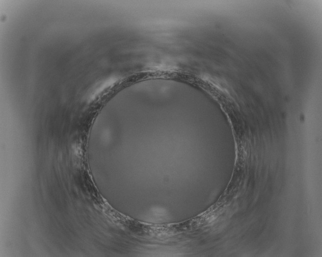 X0000062141254200512161209