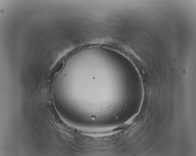 X0000062141256200512161209