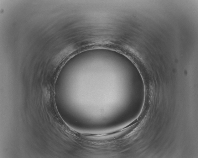 X0000062141257200512161209