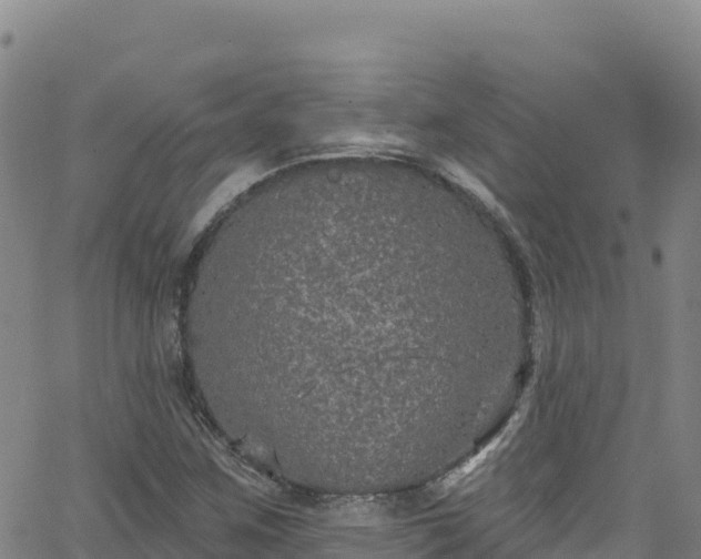 X0000062141259200512161208