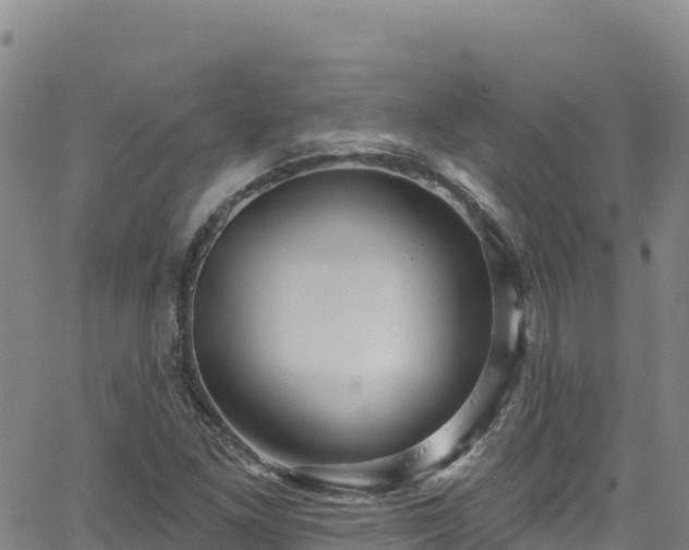 X0000062141261200512161208