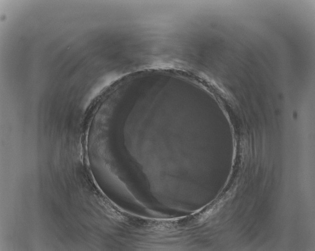 X0000062141262200512161208