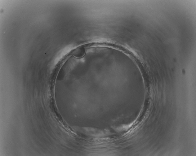 X0000062141263200512161208