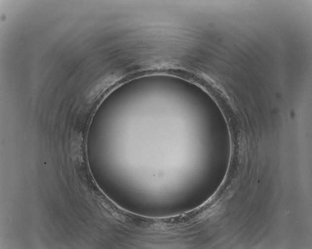 X0000062141265200512161208