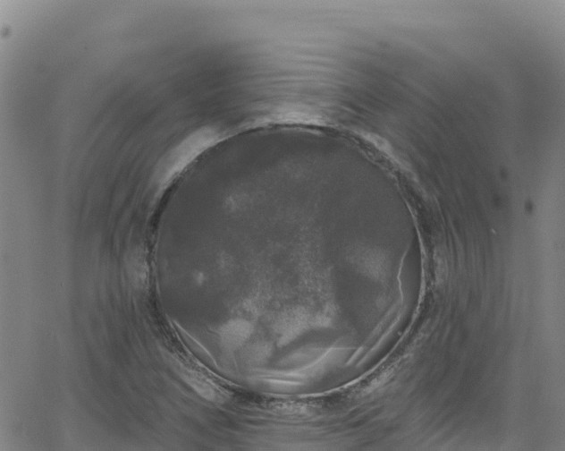 X0000062141266200512161208