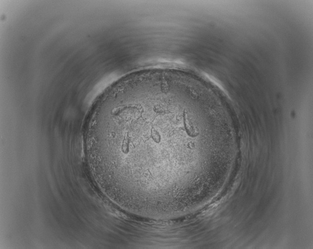 X0000062141267200512161208