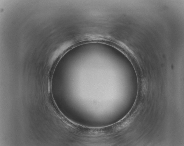 X0000062141269200512161208