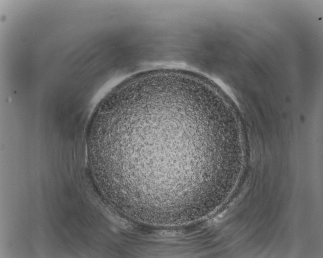 X0000062141271200512161208