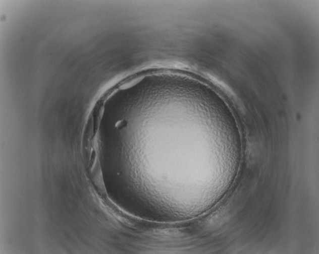 X0000062141272200512161208