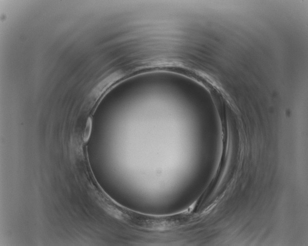 X0000062141273200512161208