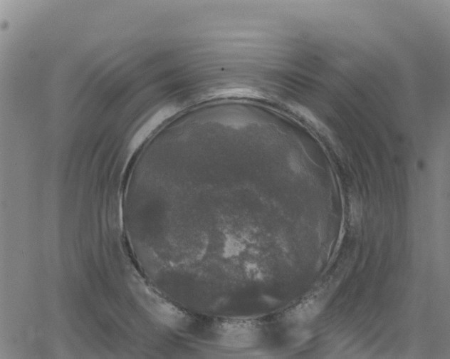 X0000062141274200512161208