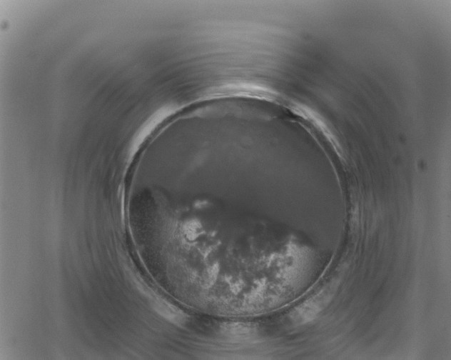 X0000062141275200512161208