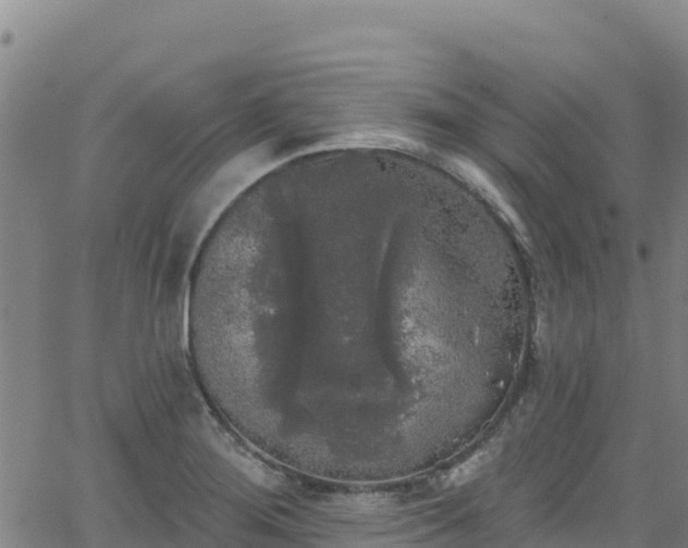 X0000062141276200512161208