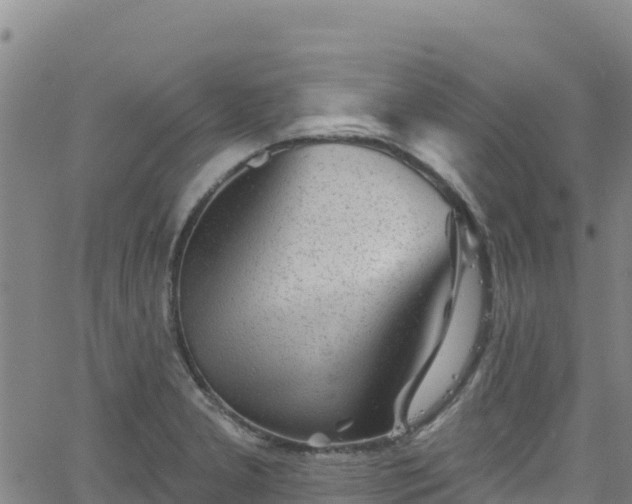 X0000062141277200512161208