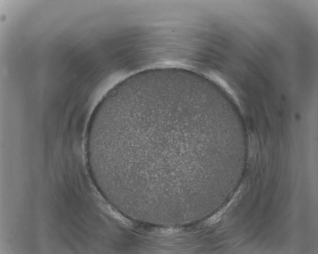 X0000062141278200512161208