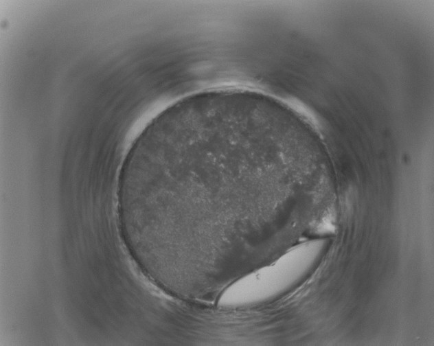 X0000062141279200512161208