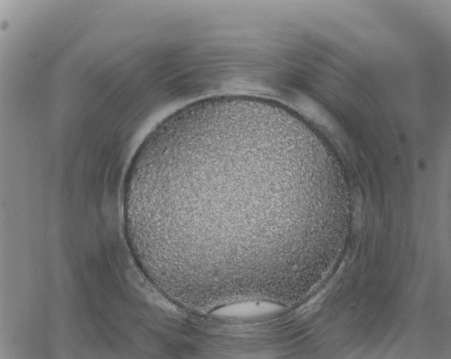 X0000062141280200512161208