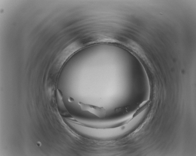 X0000062141281200512161208