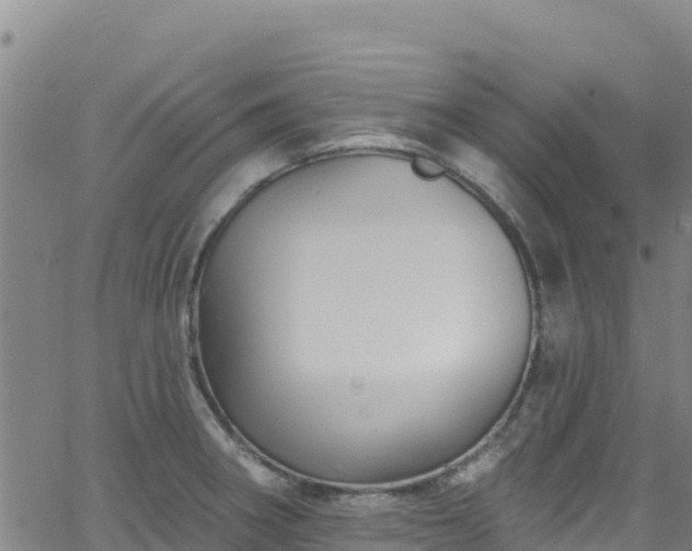 X0000062141282200512161208