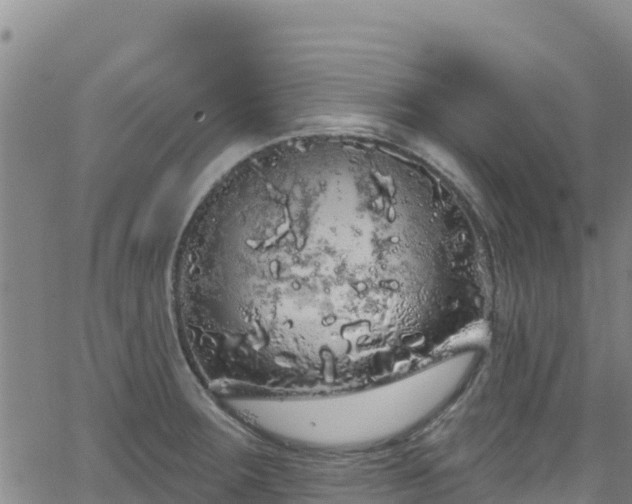 X0000062141283200512161208