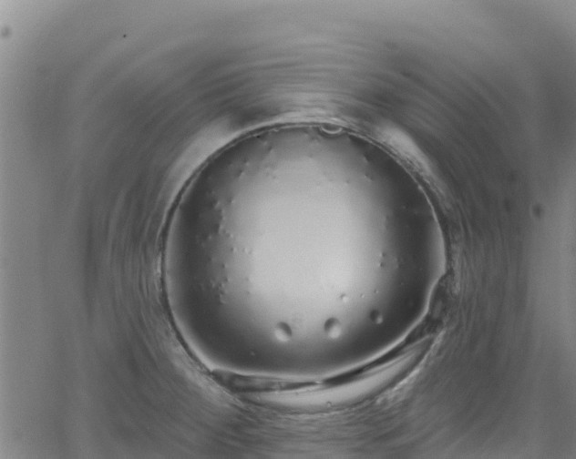 X0000062141284200512161208