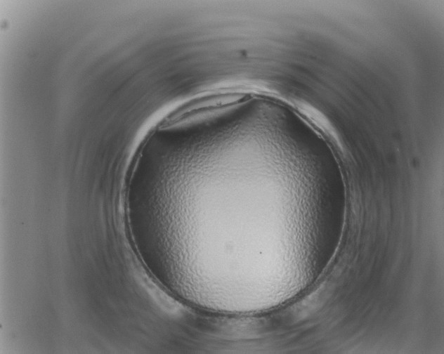 X0000062141288200512161208