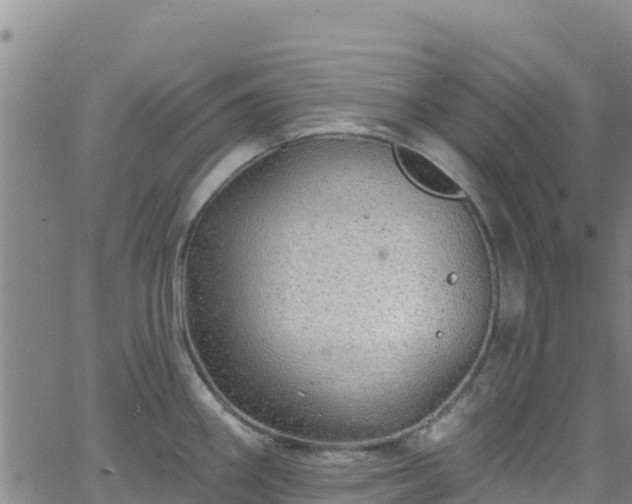 X0000062141290200512161208