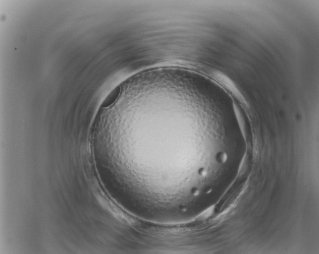 X0000062141292200512161208