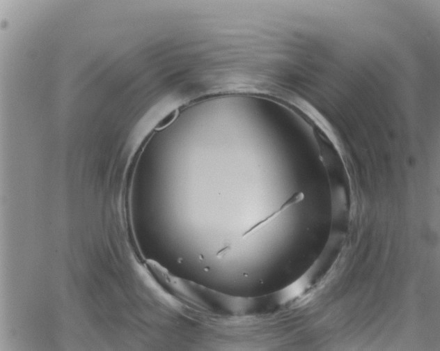 X0000062141293200512161208