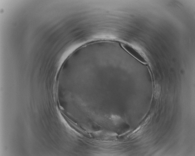 X0000062141295200512161208