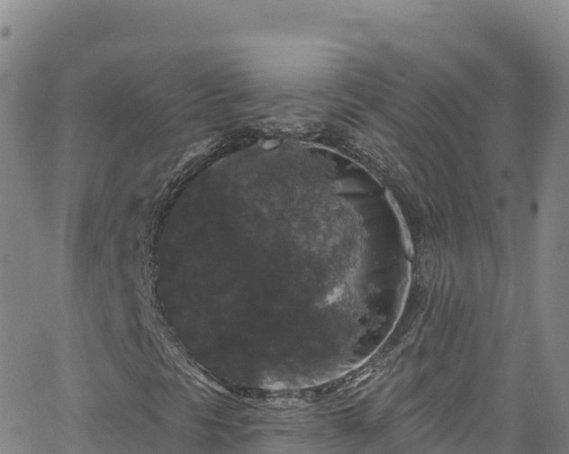 X0000062141297200512161207