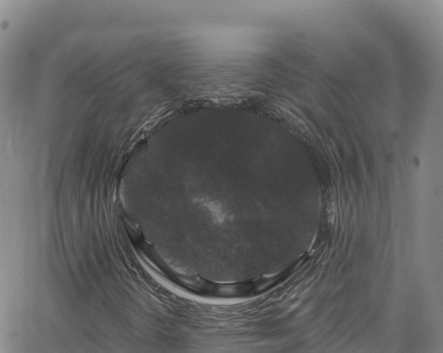 X0000062141298200512161207