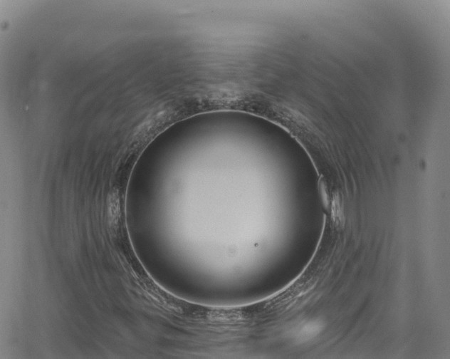 X0000062141299200512161207