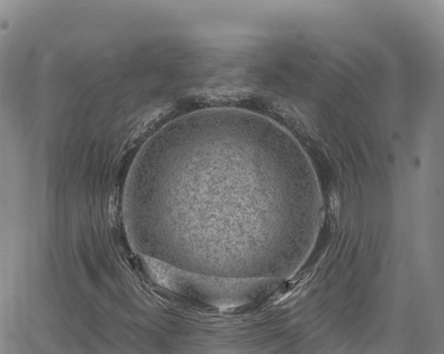 X0000062141300200512161207