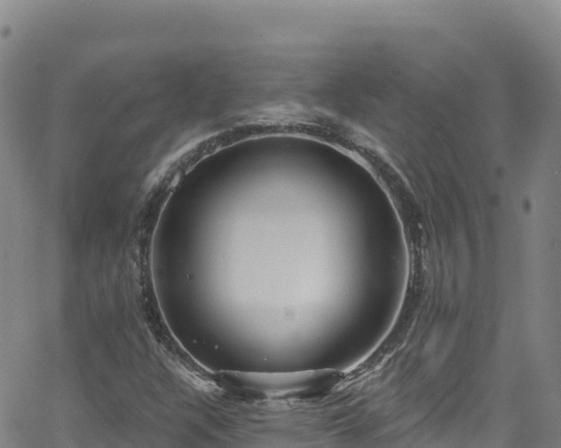 X0000062141304200512161207