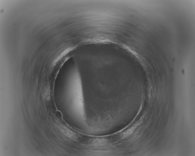 X0000062141306200512161207