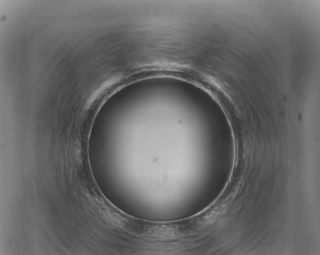 X0000062141307200512161207