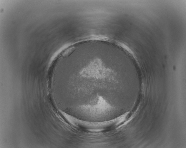 X0000062141310200512161207