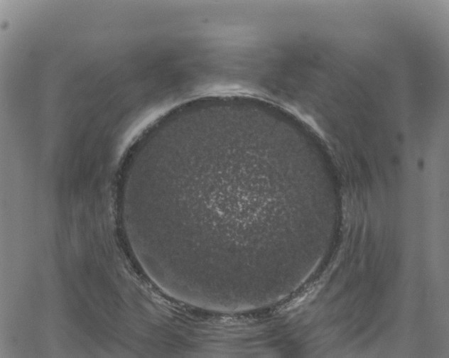 X0000062141311200512161207