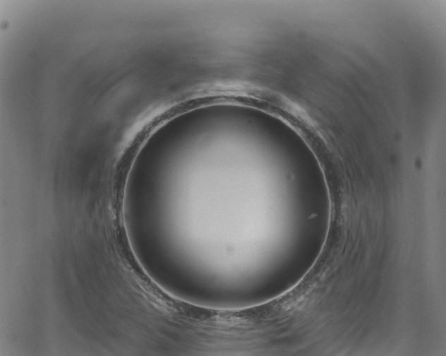 X0000062141312200512161207