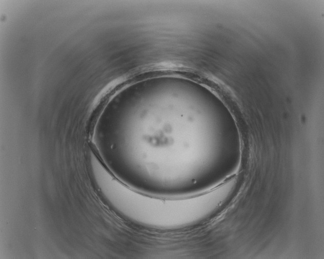 X0000062141314200512161207