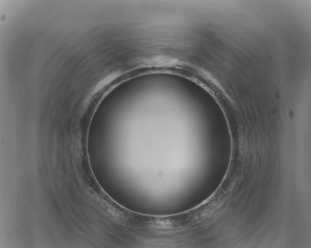 X0000062141315200512161207