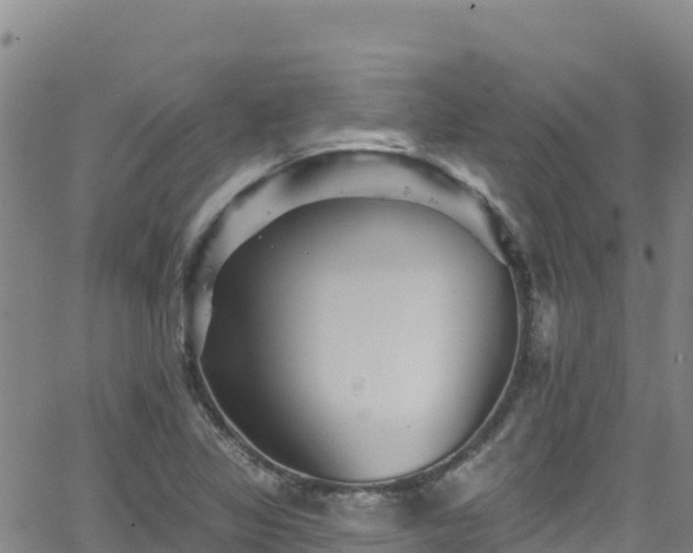 X0000062141317200512161207