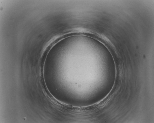 X0000062141318200512161207