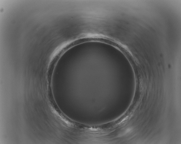 X0000062141319200512161207