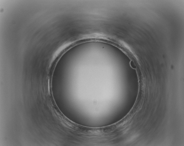 X0000062141320200512161207