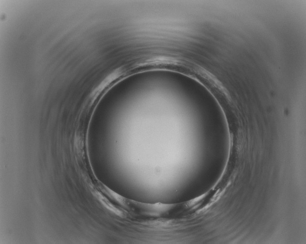 X0000062141321200512161207