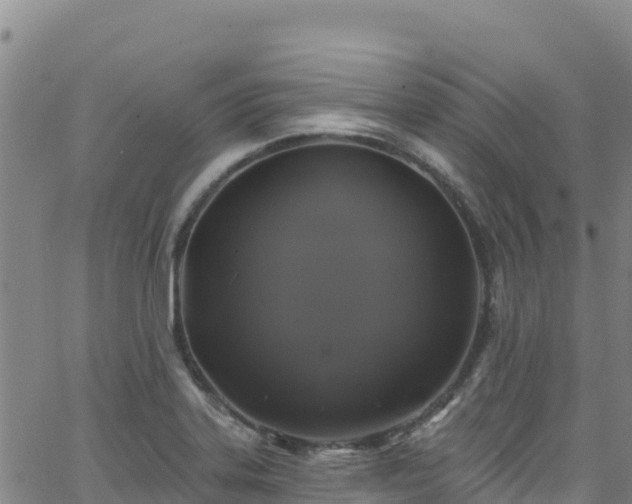 X0000062141323200512161208